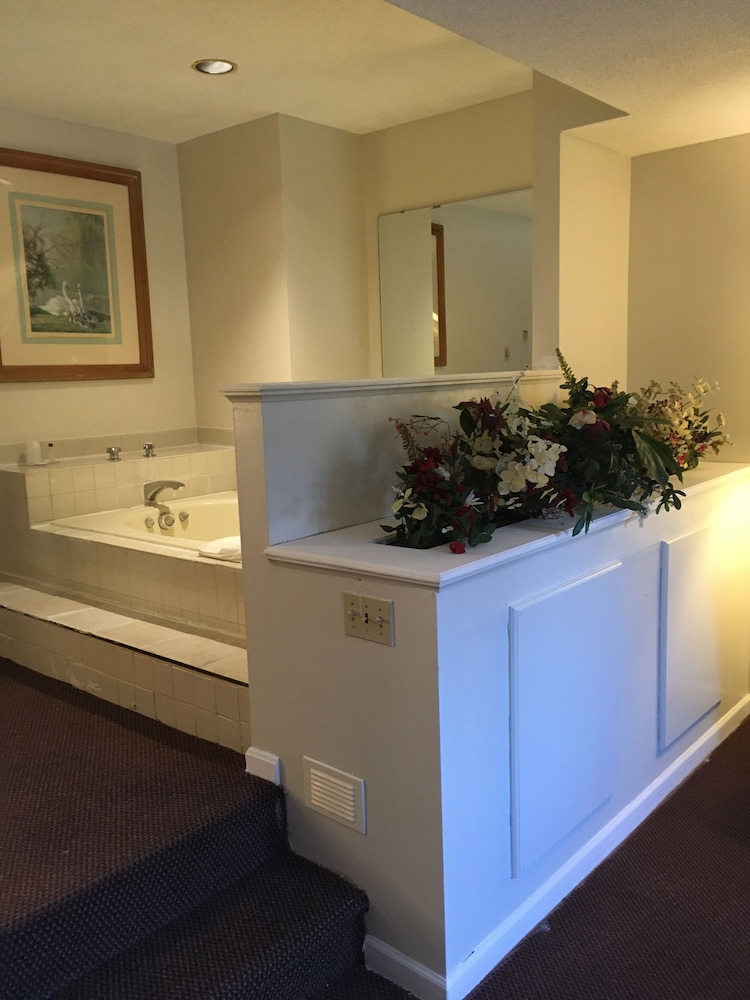 Gold Star Inn & Suites - photo 19