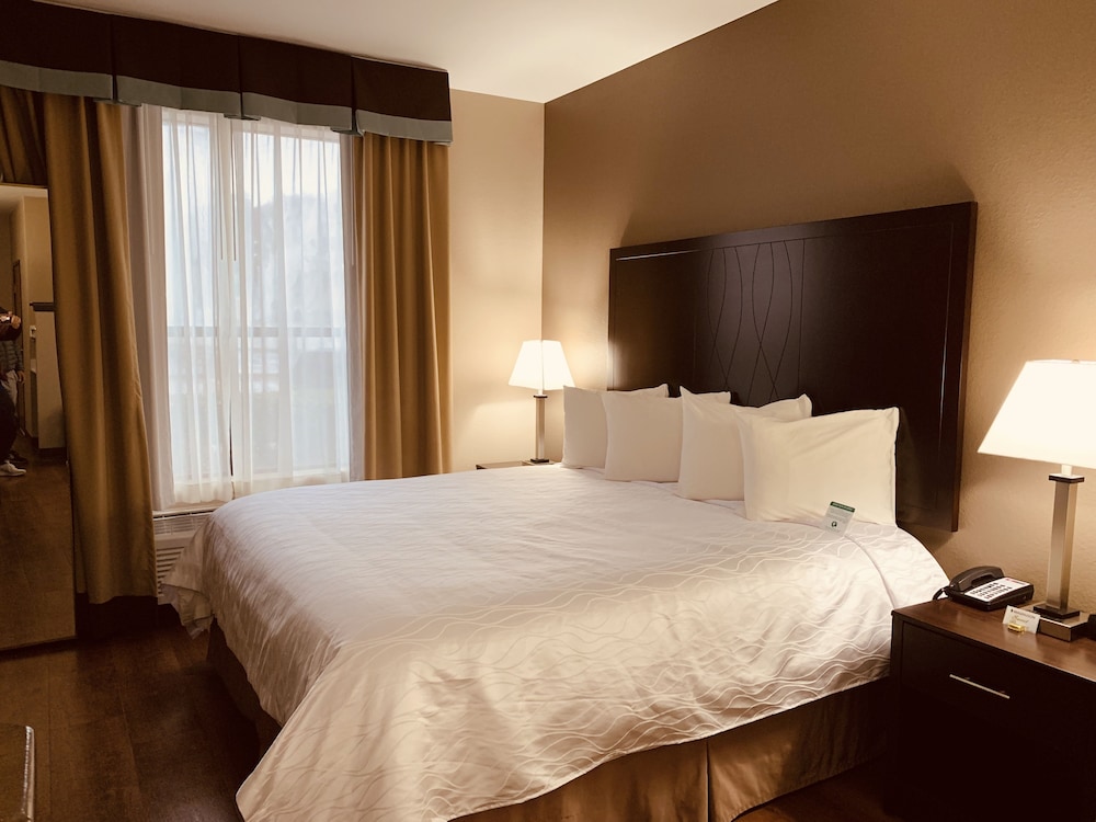 Comfort Suites Plano East Richardson - photo 12