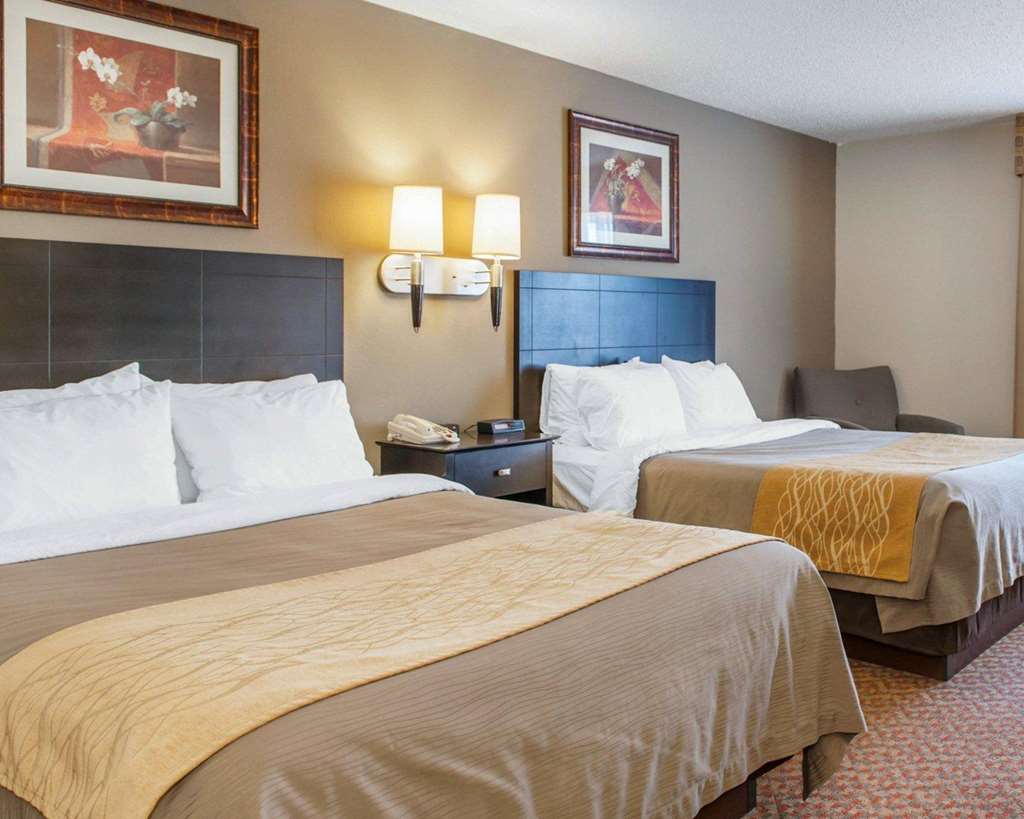 Comfort Inn Near Ouabache State Park - photo 48