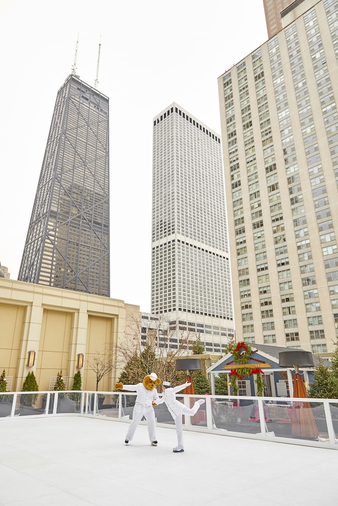 The Peninsula Chicago - photo 44