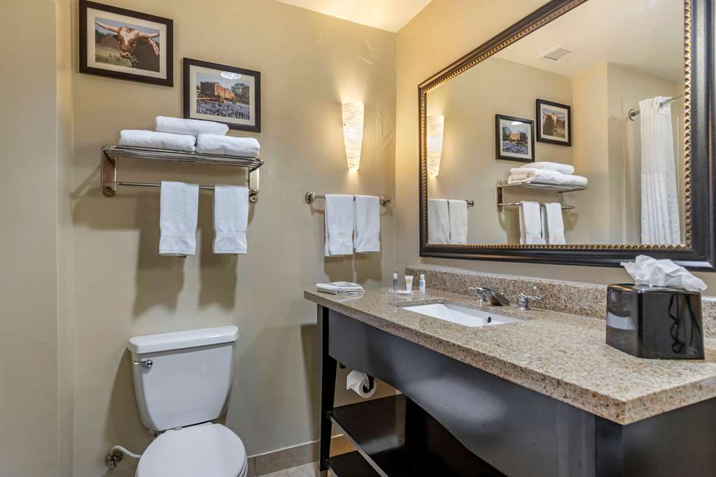 Comfort Suites Buda Austin South - photo 26