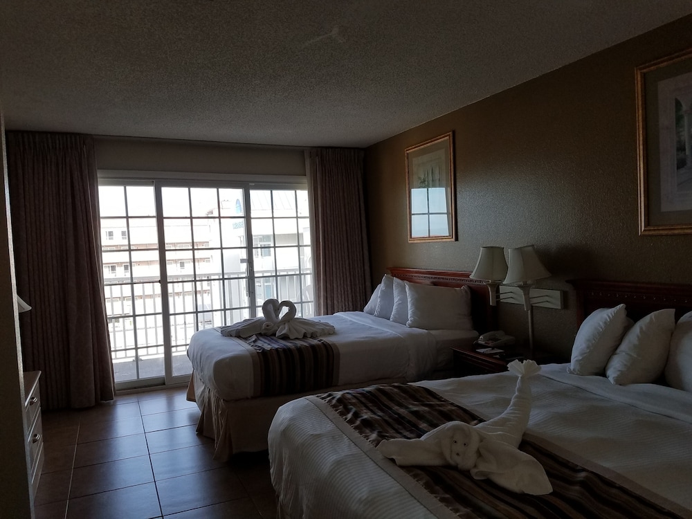 Paradise Plaza Inn - photo 4