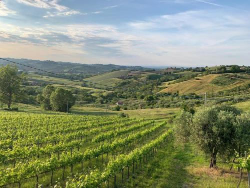 Palazzo Gessi Room and Breakfast — 4-Star Luxury Hotel in Borghi, Italy