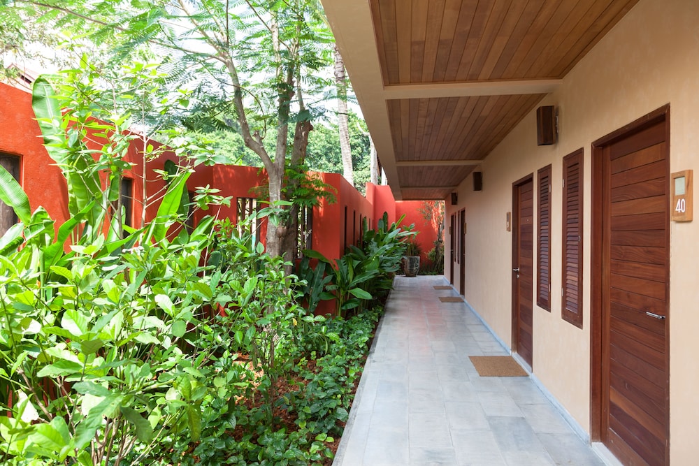 שטחי חוץ / גן