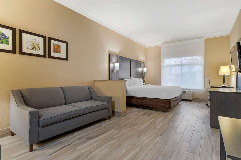 Comfort Suites Kingwood Houston North - photo 9