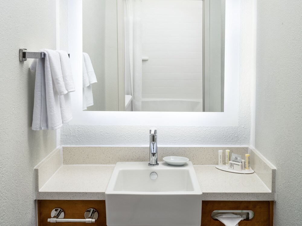 SpringHill Suites Dallas Arlington North - photo 5