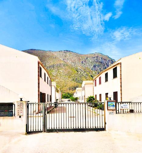 Sole di Sicilia in Castelluzzo, Italy