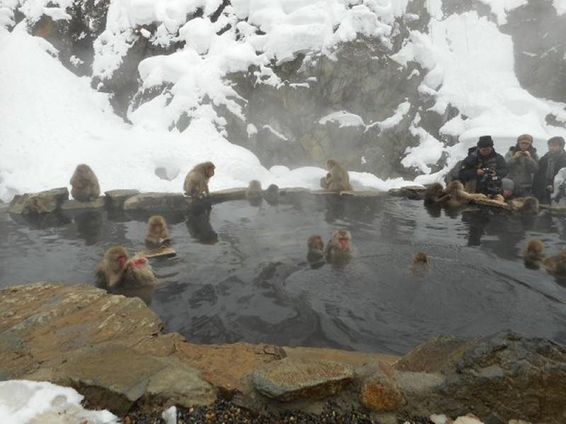 Bozanso in Nagano, Japan