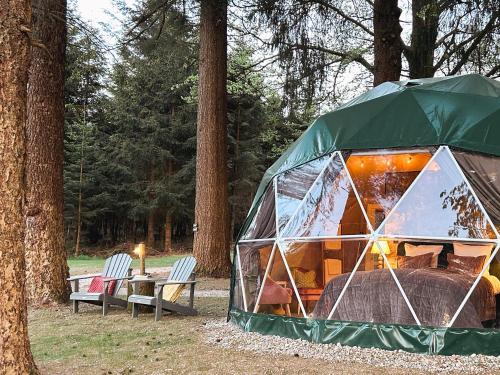 High Moor Glamping in Jalhay, Belgium