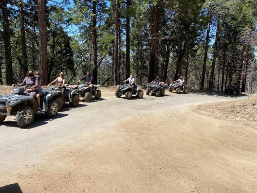 Sequoia National Forest CabinG - last minute hotel in Alta Sierra