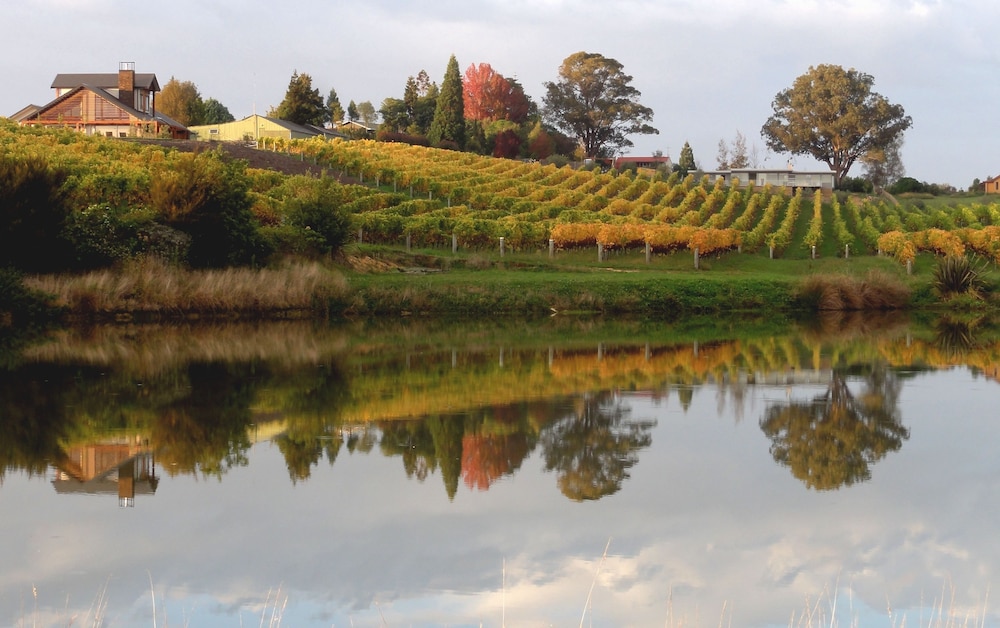 Pine Hill Lodge — 4-Star Luxury Hotel in Mapua, New Zealand