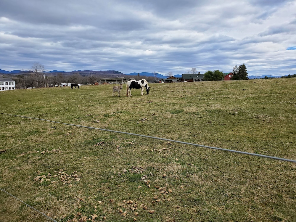 The Inn at OxBow Acres - photo 27