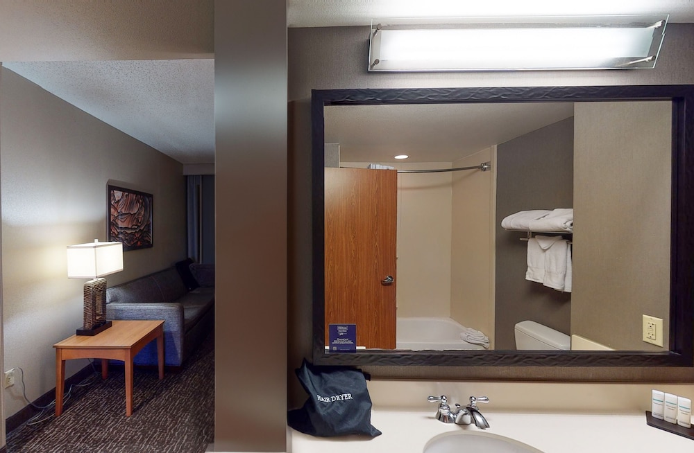 Embassy Suites Northwest Arkansas Hotel Spa & Convention - photo 42