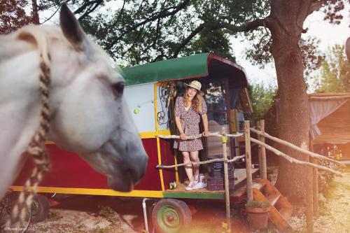Authentique roulotte en Camargue in Arles, France