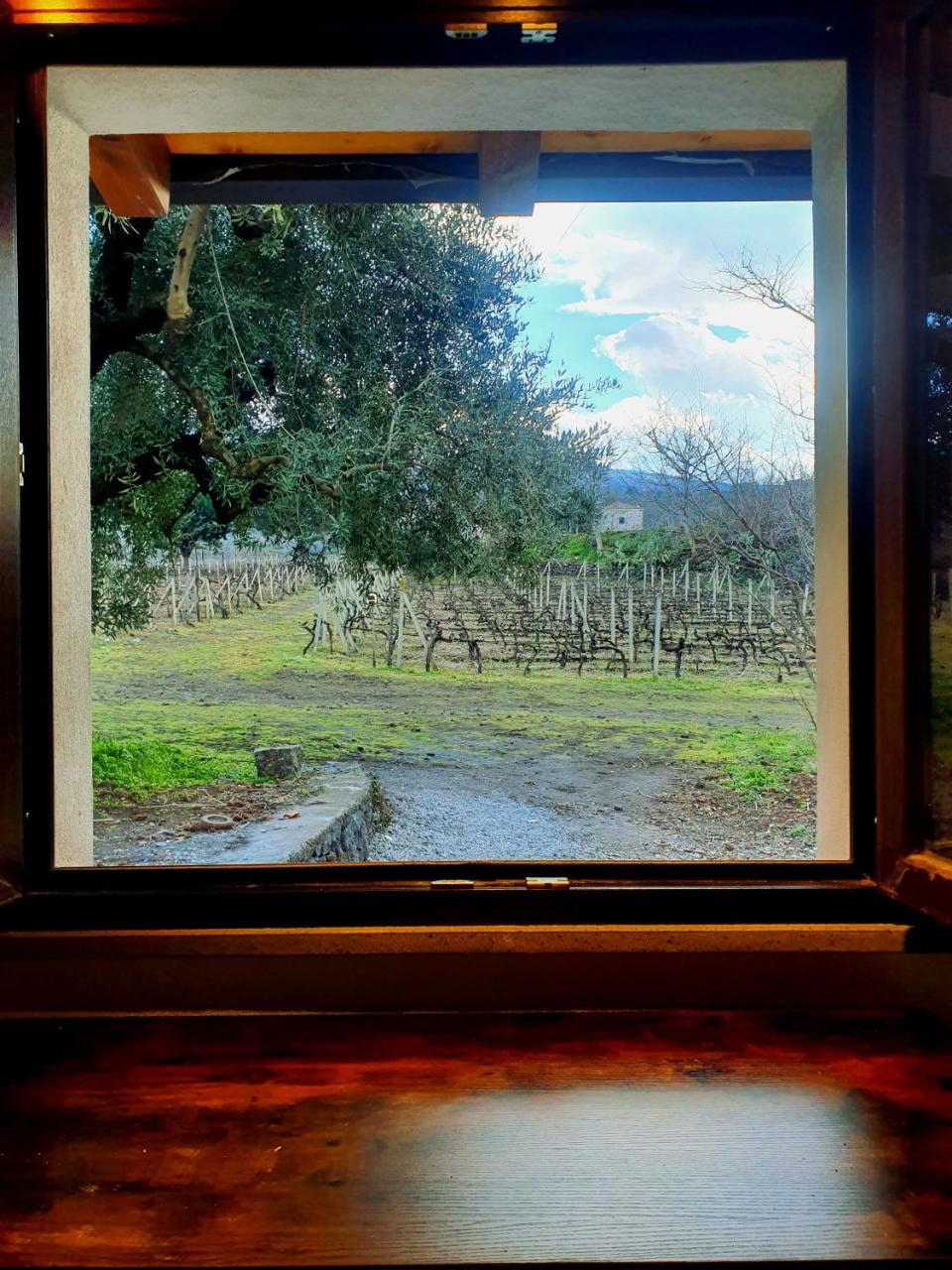 La Finestra Sul Vigneto — hotel in Castiglione Di Sicilia