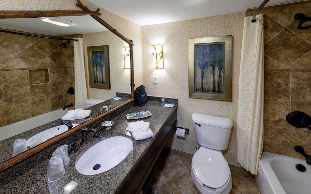 Lanier Islands Legacy Lodge - photo 3