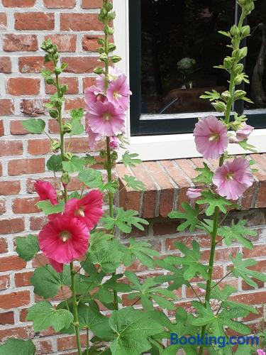 Bed and Breakfast Oudeschans — Ter Apel — photo 3