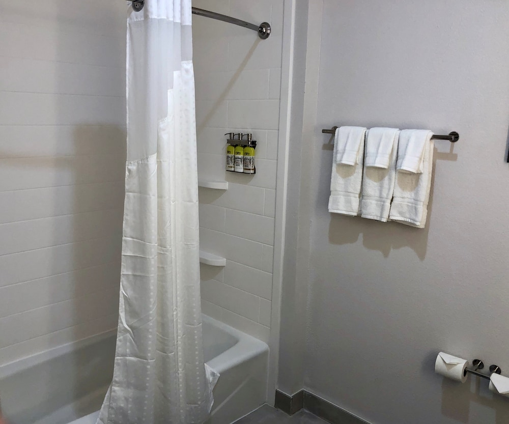 Holiday Inn Express and Suites Houston Westchase Westheimer by IHG - photo 49