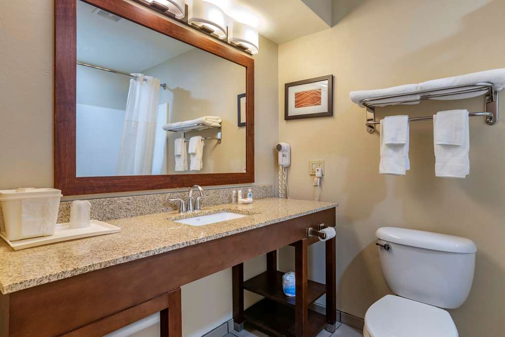 Comfort Inn Amite City - photo 9