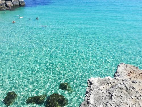Cala Paradiso — Monopoli — photo 3