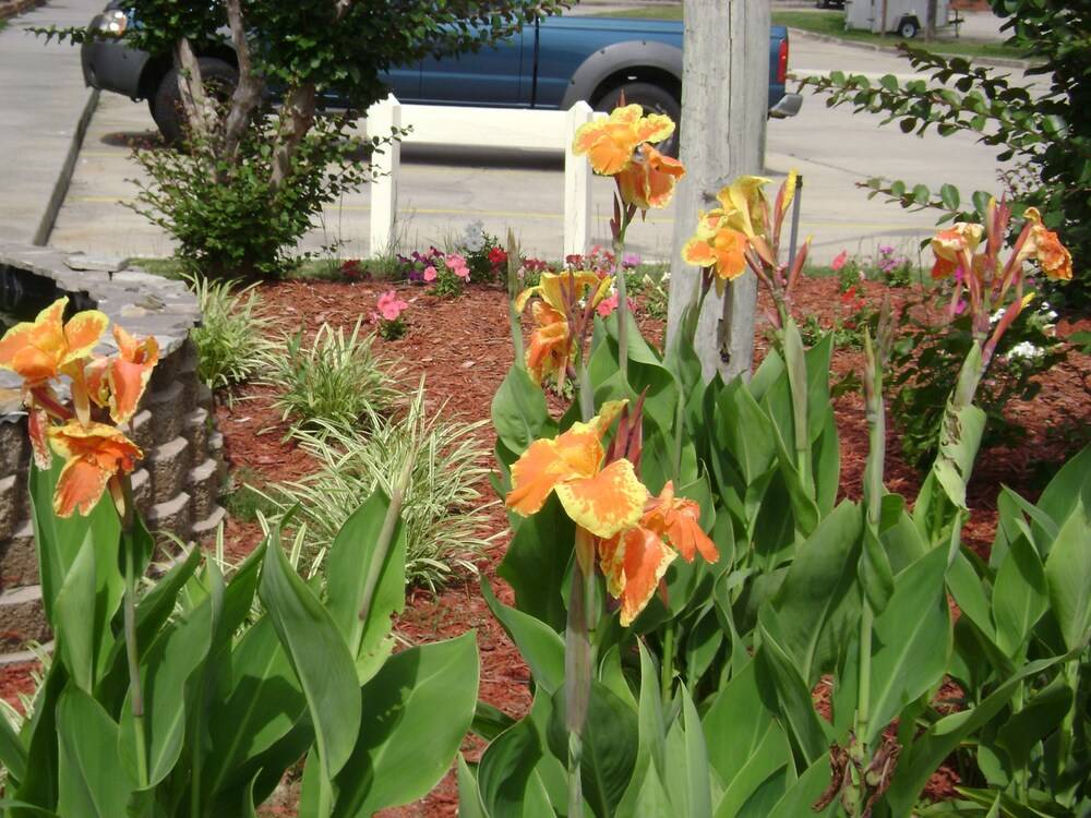 Rodeway Inn & Suites Hephzibah Augusta - photo 36