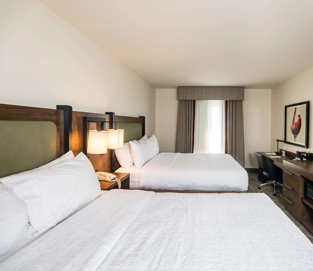 Hampton Inn and Suites Dobson - photo 11