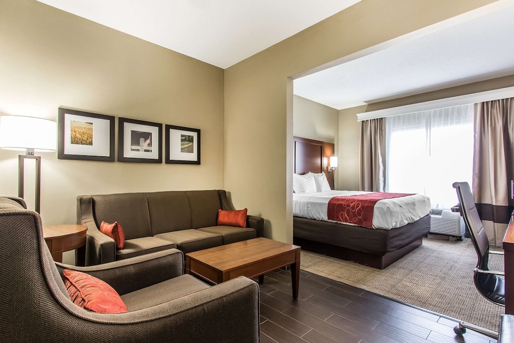 Comfort Suites Effingham Central - photo 22