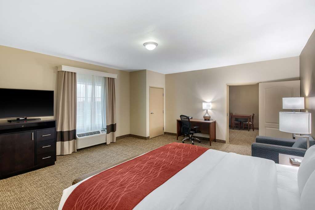 Comfort Inn & Suites Cedar Hill Duncanville - photo 28
