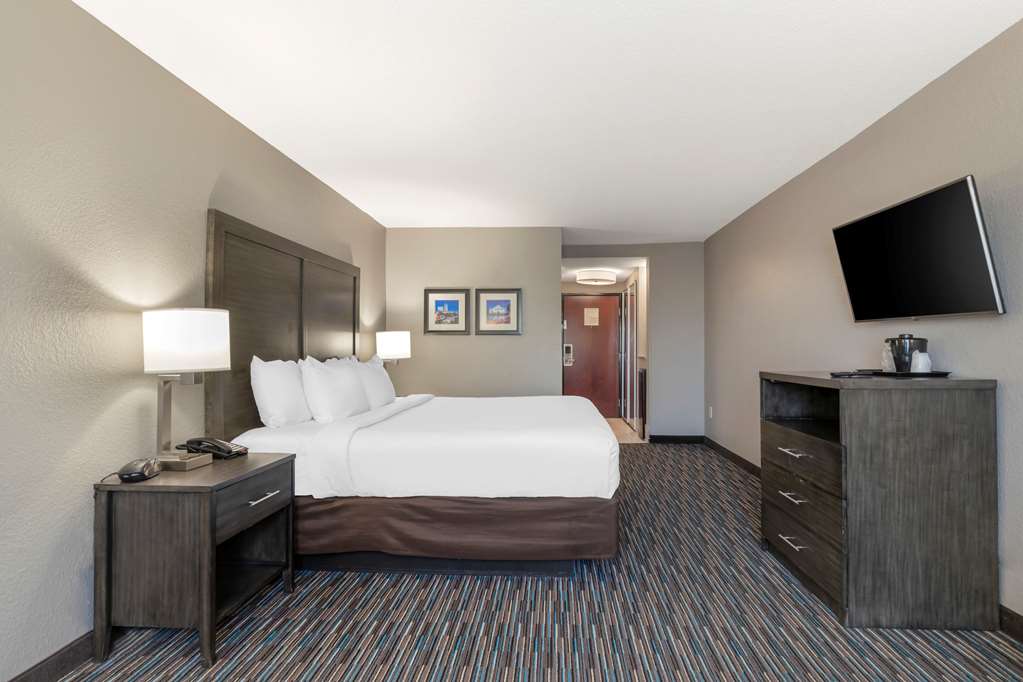 Comfort Inn and Suites Near Medical Center - photo 11