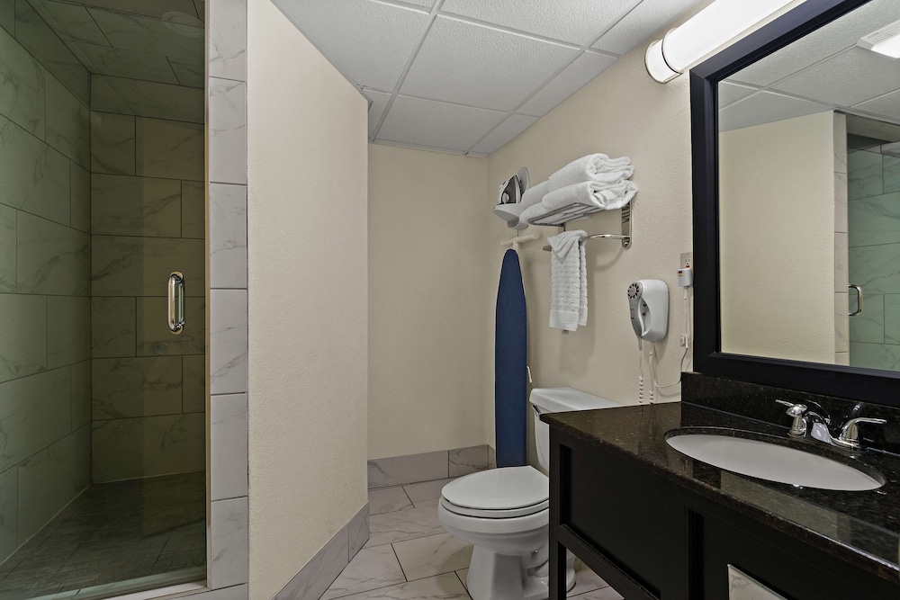 Best Western Windsor Suites - photo 27