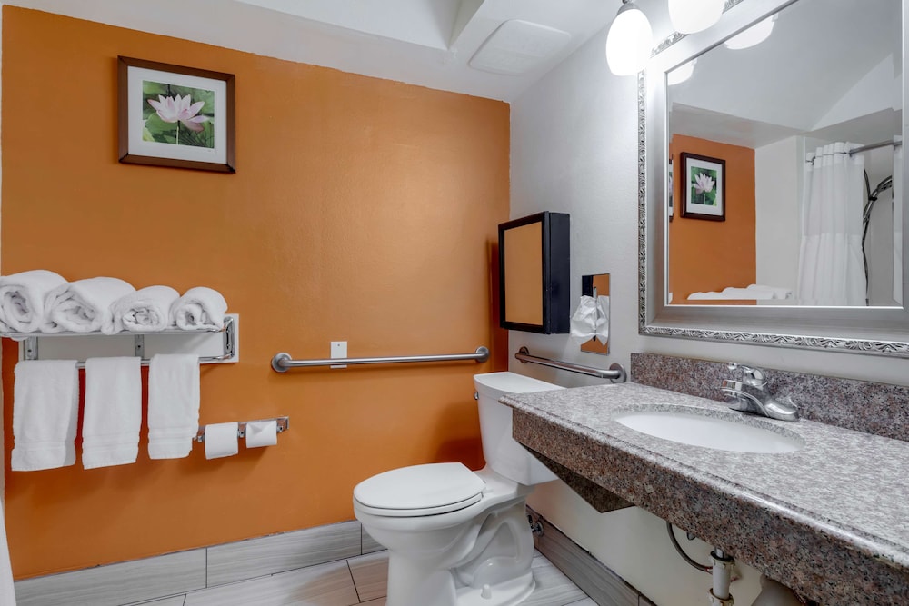 Best Western Plus Rockwall Inn & Suites - photo 25