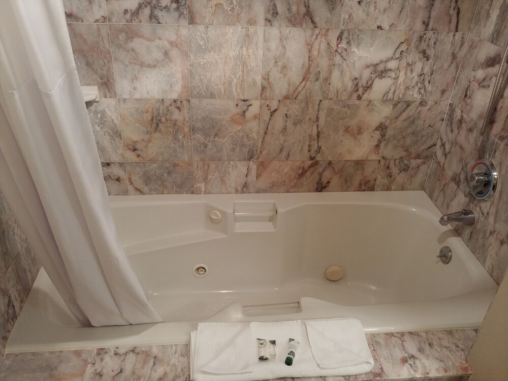 Harborside Inn - photo 5