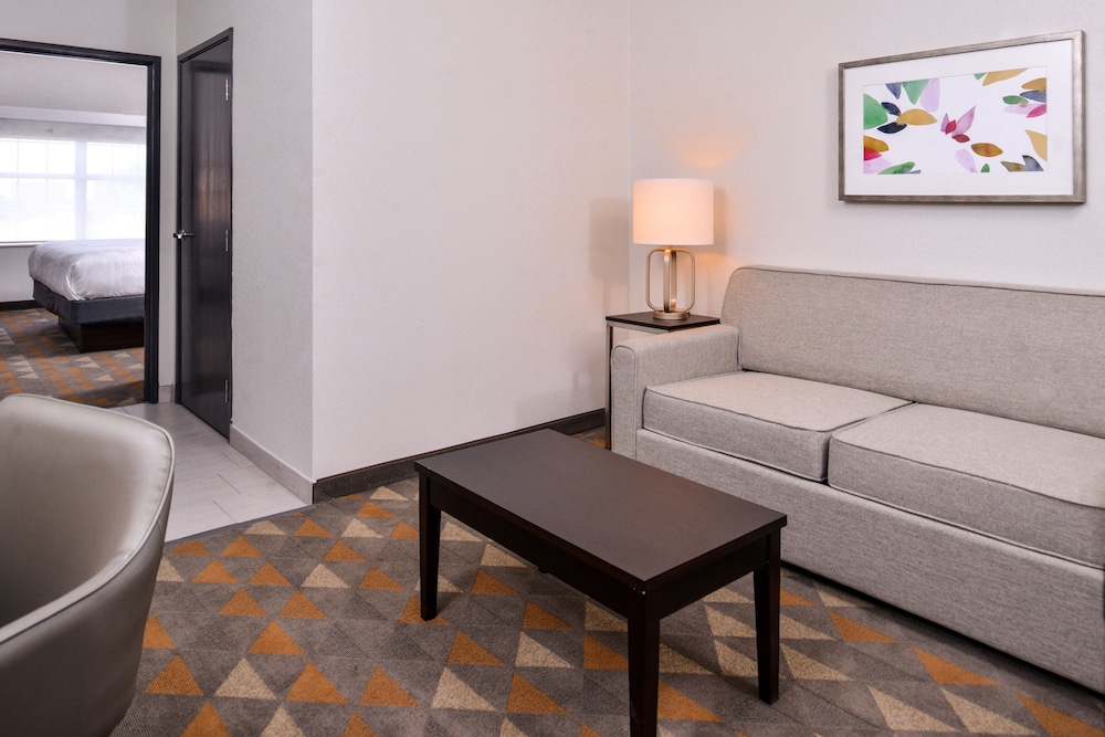 Holiday Inn & Suites Dallas Addison by IHG - photo 8