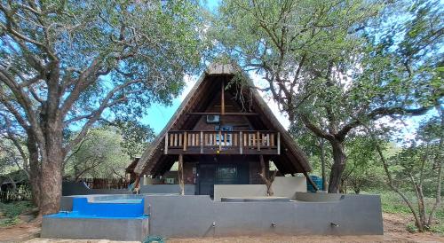 African Bush Escape in Unknown City, South Africa