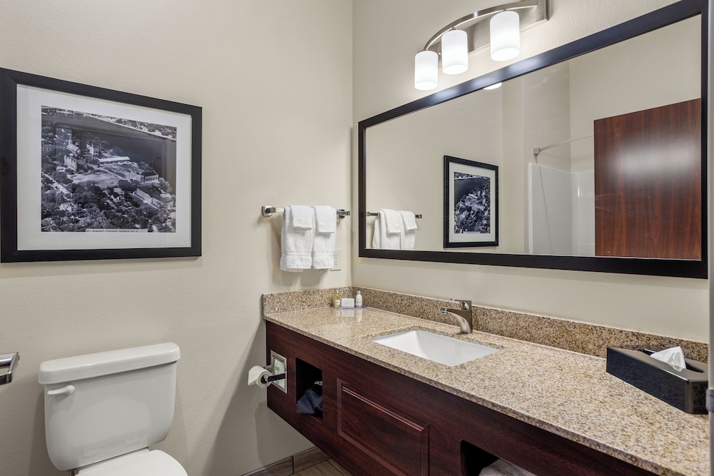 Cobblestone Hotel & Suites De Pere Green Bay - photo 39