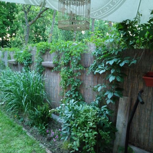 Apartmány Kašper — Levoca — photo 2