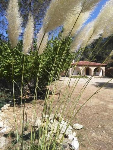 Casas Rurales la Tobica — hotel in Yeste