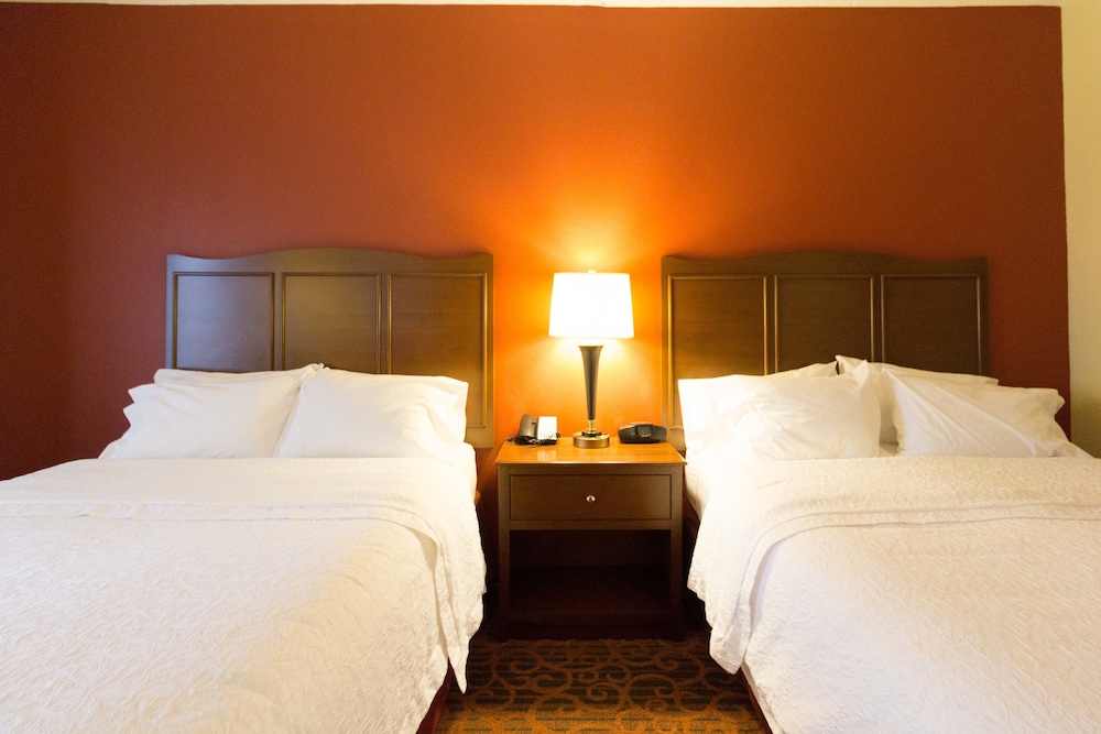 Hampton Inn Columbus South - photo 16