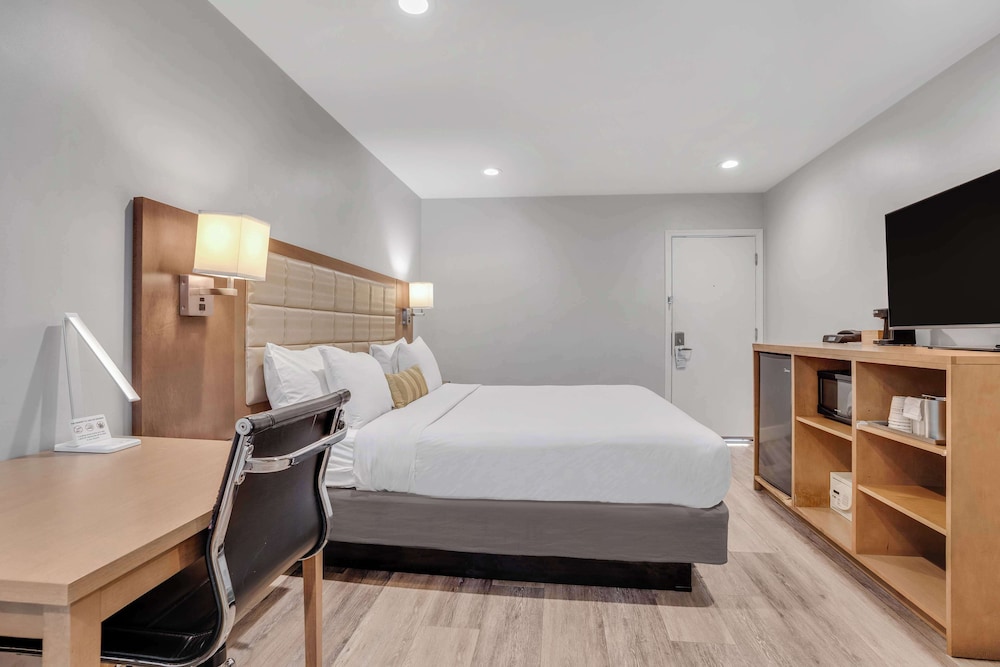 Sather Berkeley SureStay Collection by Best Western - photo 16