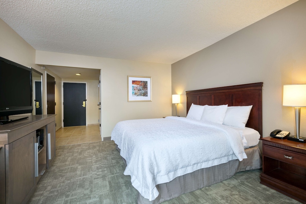 Hampton Inn Houston Near The Galleria - photo 5