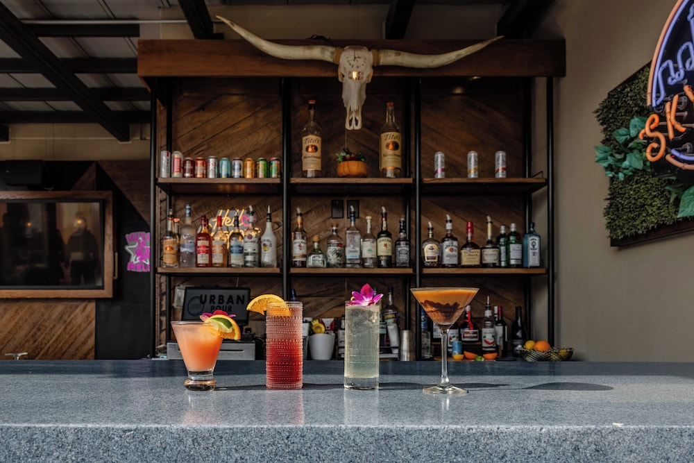 Hotel Indigo Austin Downtown University by IHG - photo 56