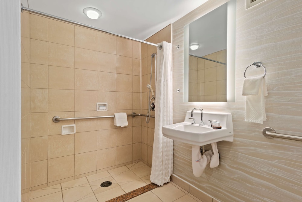 Embassy Suites by Hilton Anaheim South - photo 41