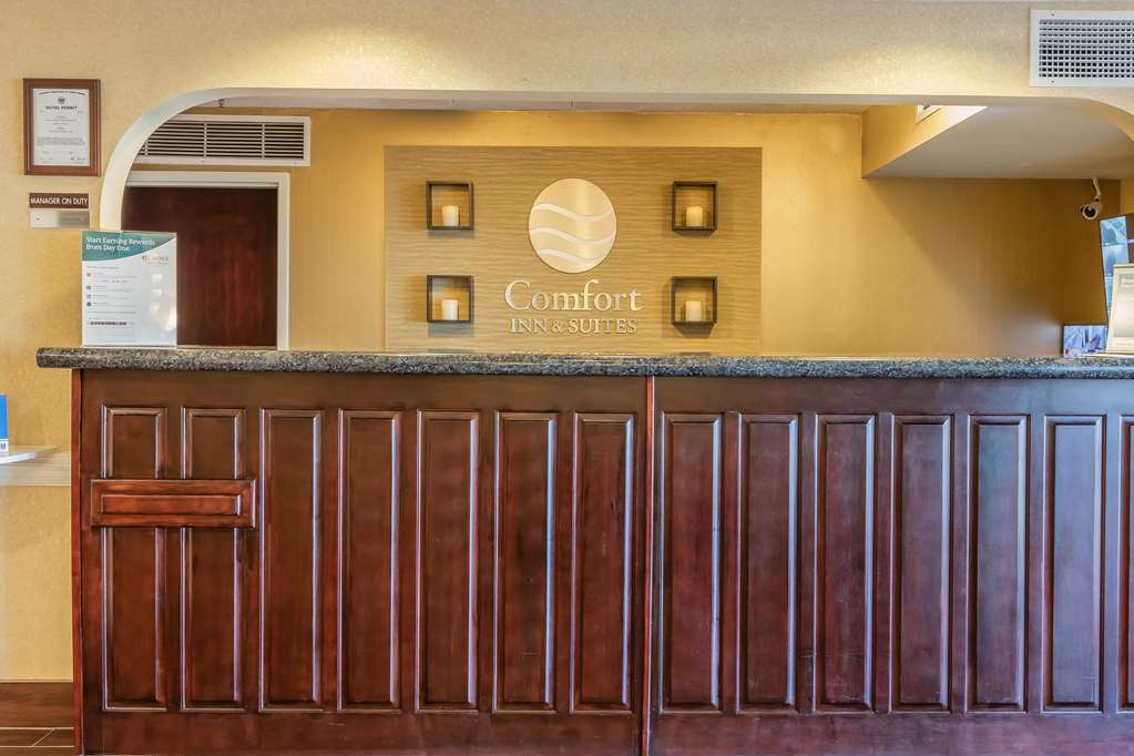 Comfort Inn & Suites Jasper Hwy 78 West - photo 5