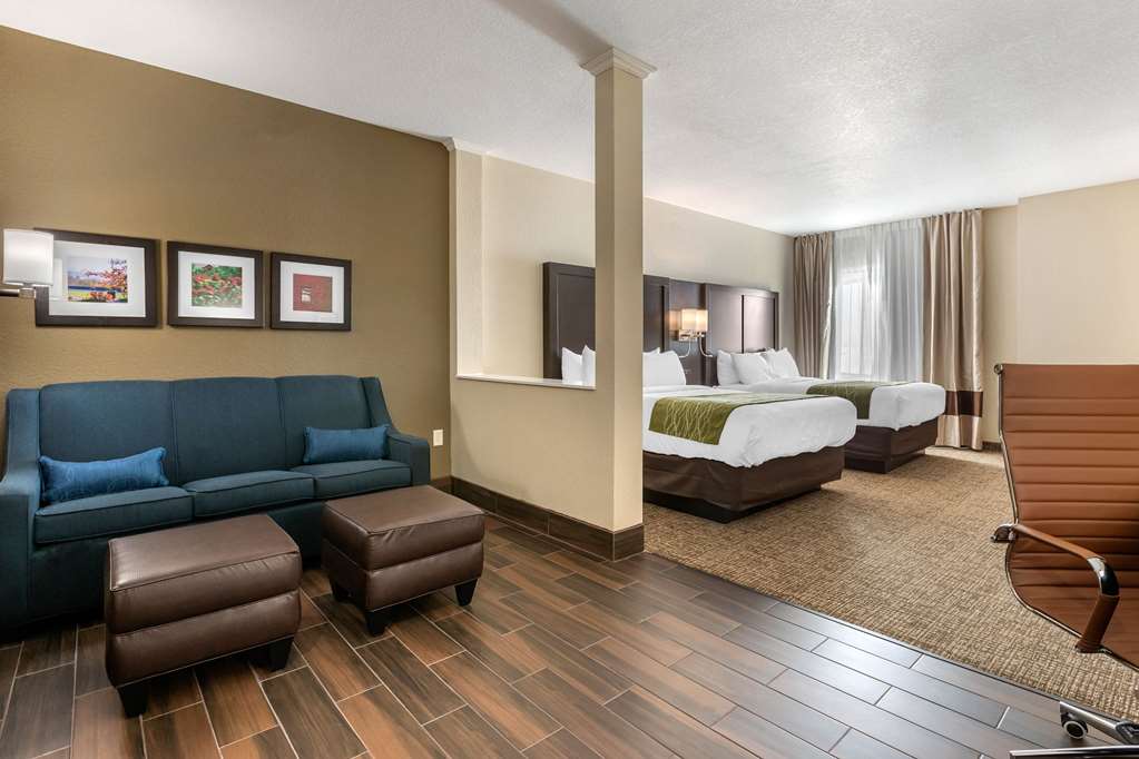 Comfort Inn & Suites Cedar Rapids CID Eastern Iowa Airport - photo 34