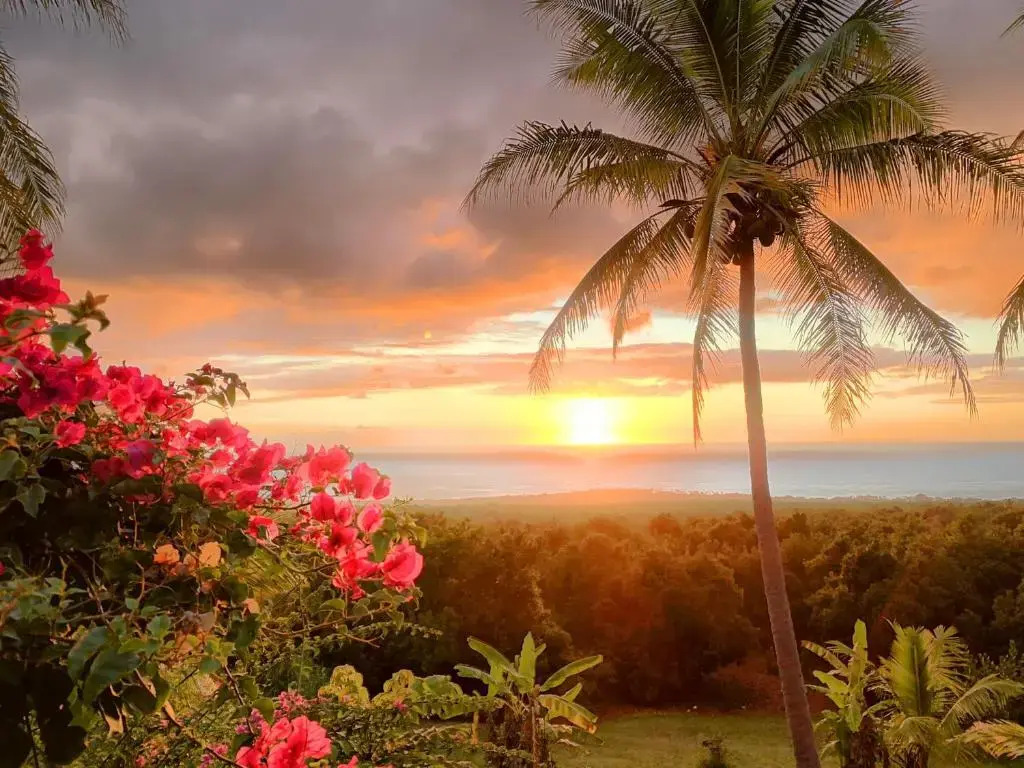 Kona Bayview Inn — hotel in Captain Cook