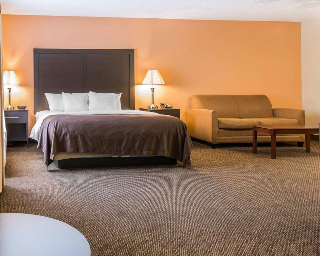 Quality Inn & Suites Niles - photo 49
