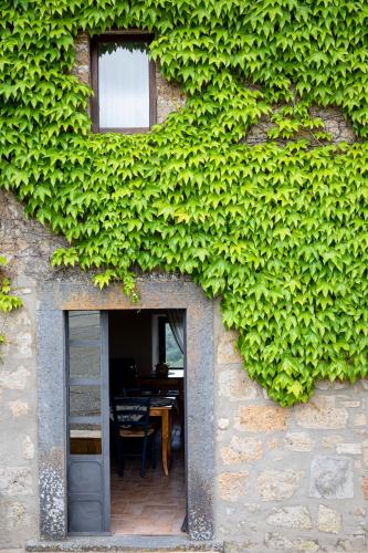 Acqua di Civita Beauty & Rooms in Mercatello in Bagnoregio, Italy
