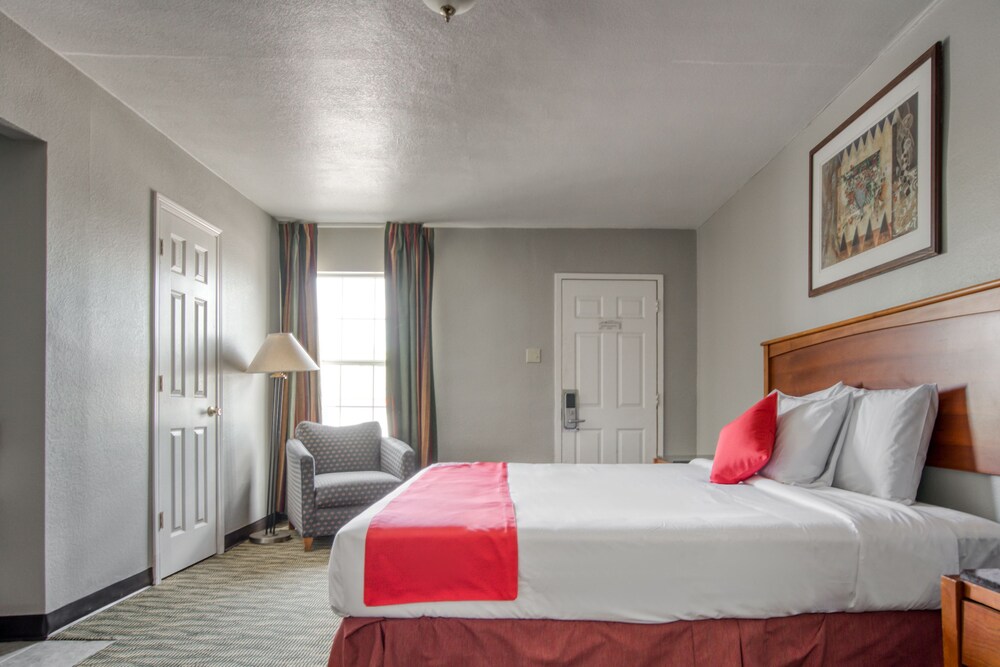 OYO Inn Dallas South - photo 15