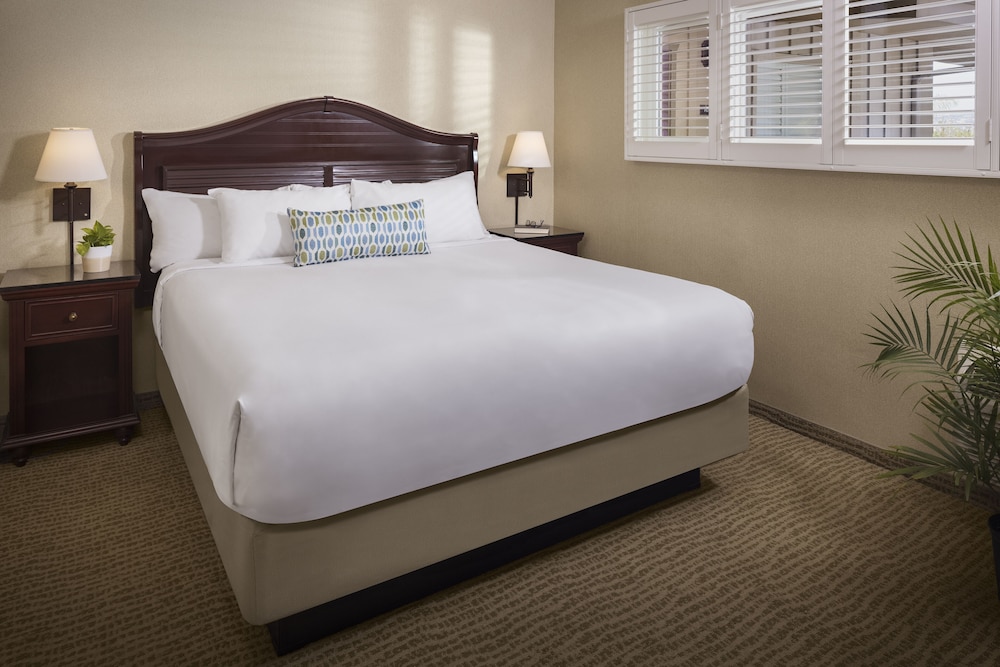 Bahia Resort Hotel - photo 21