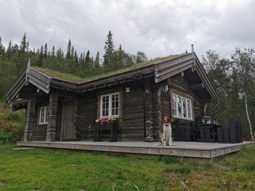 Liaplassen Mountain View - last minute hotel in Unknown City